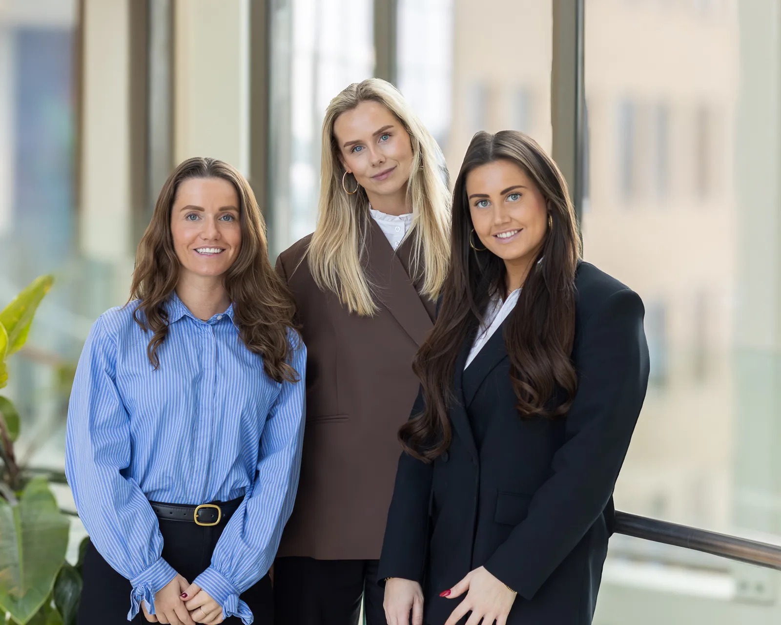 Consultants Wellington Densmore Legal Professionals